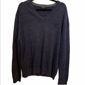 Express V neck Sweater